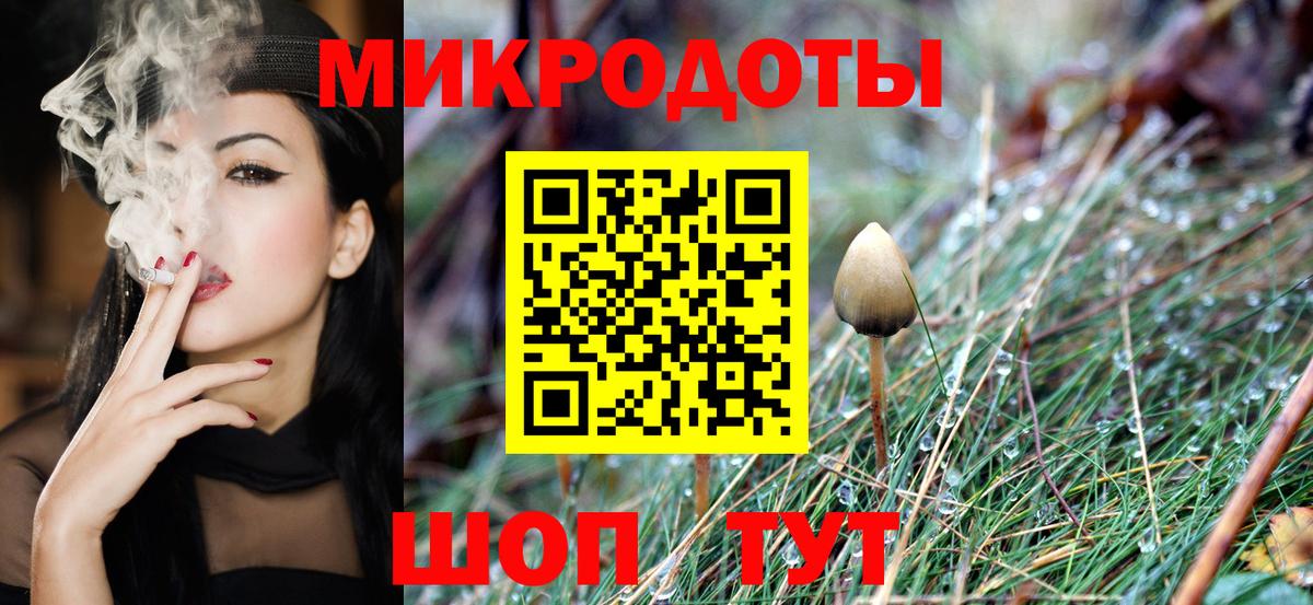 Псилоцибиновые грибы GOLDEN TEACHER  Вход с VPN  Котовск 