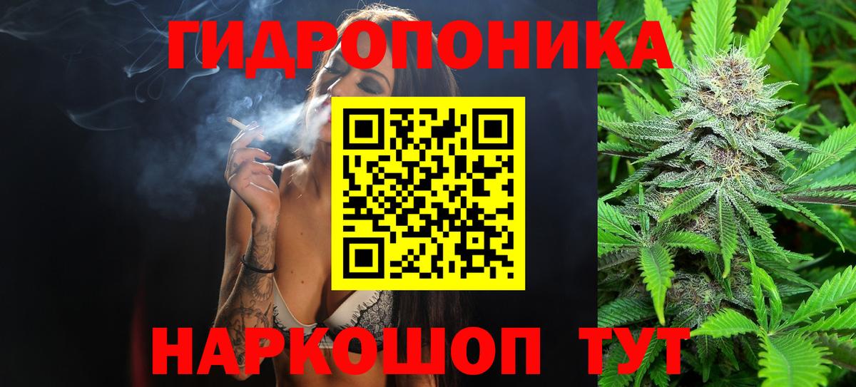 Котовск  Канабис план  Канабис Bruce Banner  МАРИХУАНА гибрид  Вход с VPN 